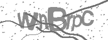 visual captcha